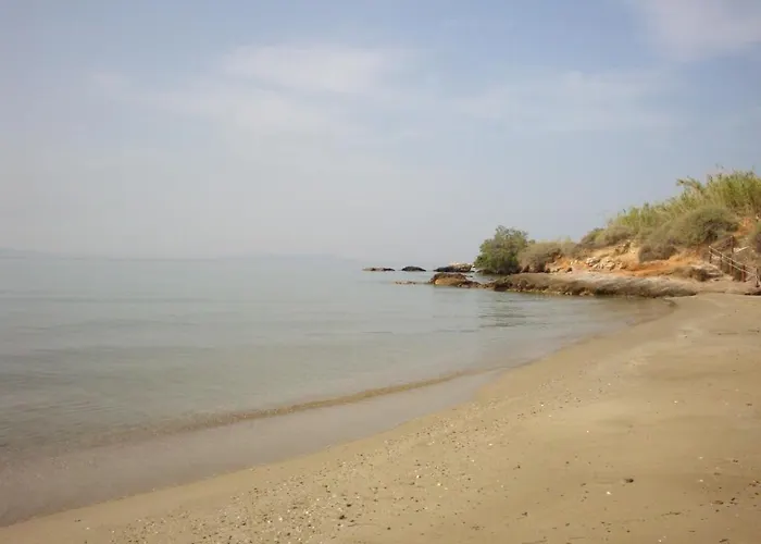 Blue & Sea アパート *